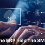 How ERP Systems Are Helping SMEs Improvement